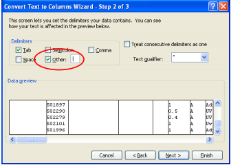 Text to columns wizard screen