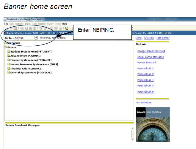 Banner home screen for NBIPINC entry